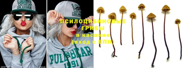 дживик Богородицк