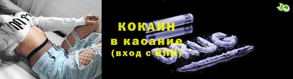 дживик Богородицк