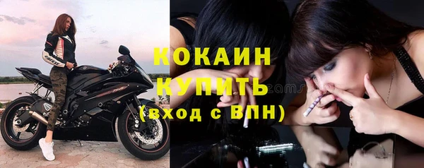 дживик Богородицк